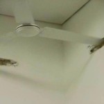 Неправильно установленный вентилятор на потолке