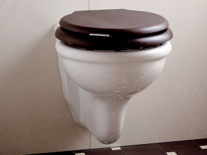 Подвесной унитаз